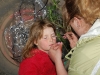 Trinitatisfest 2010